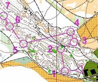 Orienteering map