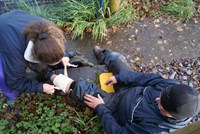 Bandaging a leg injury