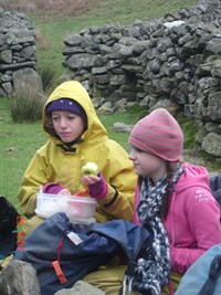 Healthy packed lunch