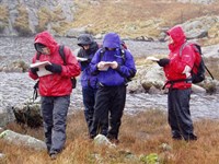 Walking in the Moelwyns